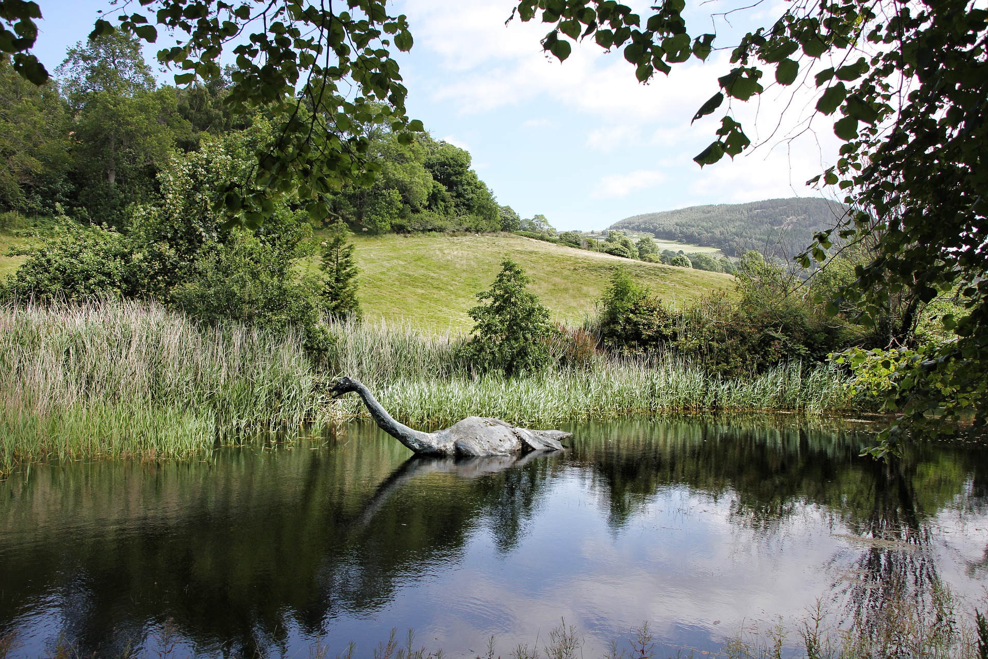 nessie